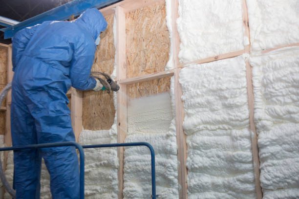 Best Commercial Insulation Services in De Pere, WI